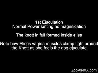 animal movie sex|XNXX Zoo